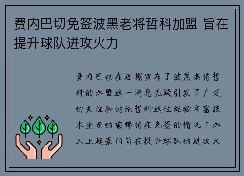 费内巴切免签波黑老将哲科加盟 旨在提升球队进攻火力 费内巴切免签波黑老将哲科加盟 旨在提升球队进攻火力