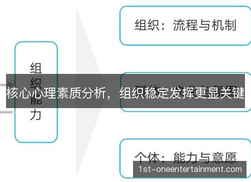 核心心理素质分析，组织稳定发挥更显关键